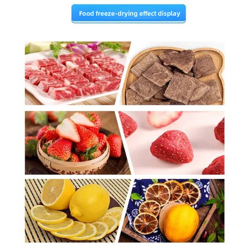 真空食品・果物用業務用および家庭用小型フリーズドライヤー、ス - Food Snack のレビューと価格